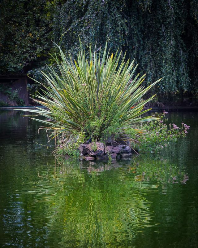 Parc Pallavicino