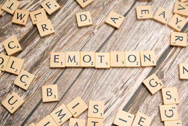 Dai la giusta attenzione al cervello del tuo bambino per favorire la sua crescita emotiva e cognitiva. Un manuale pratico per genitori consapevoli.
