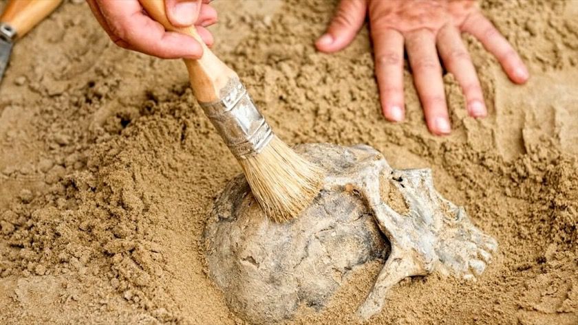 Realizzazione siti web professionali per archeologi